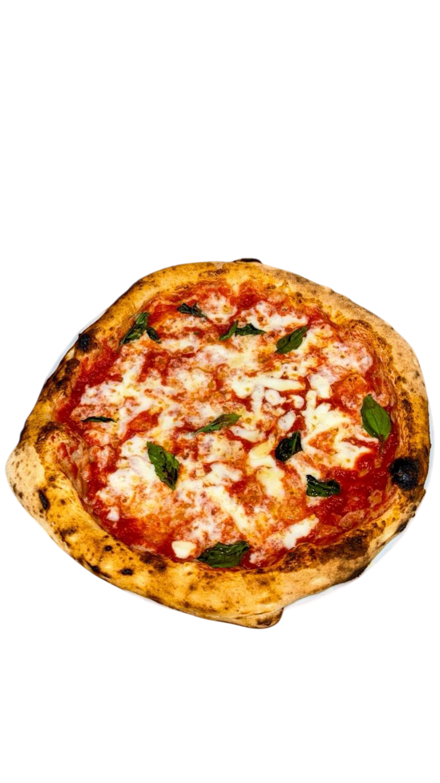Margherita